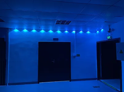eave light